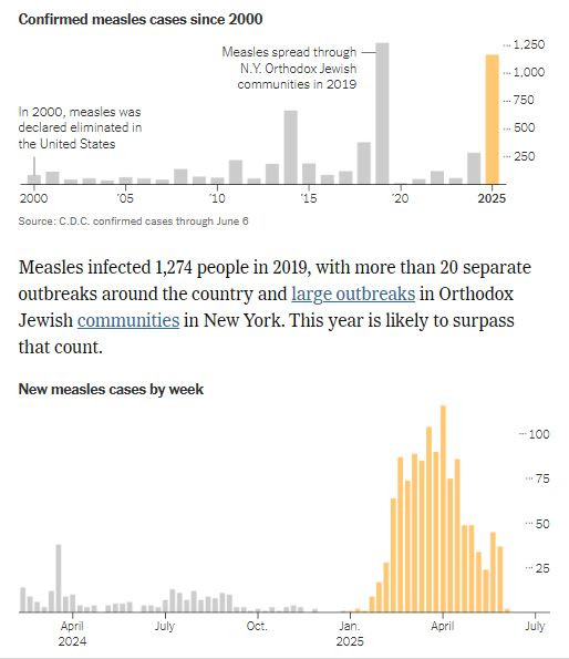NyTimes_US_tuhkarokko_2025