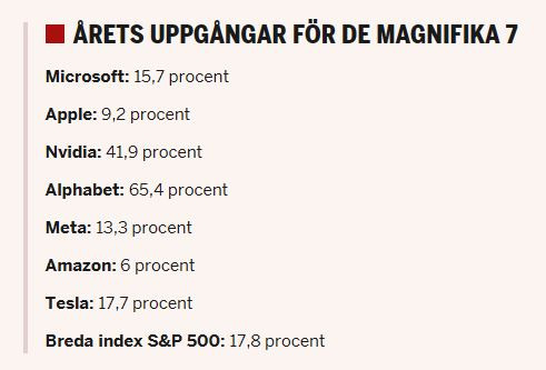 DI_magnificent_seven_2025