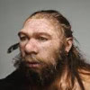 Profile picture for user NEANDERTHAL