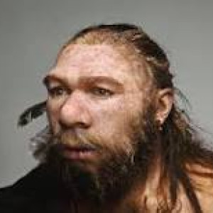 Profile picture for user NEANDERTHAL