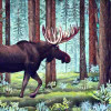 Profile picture for user Cycling Moose